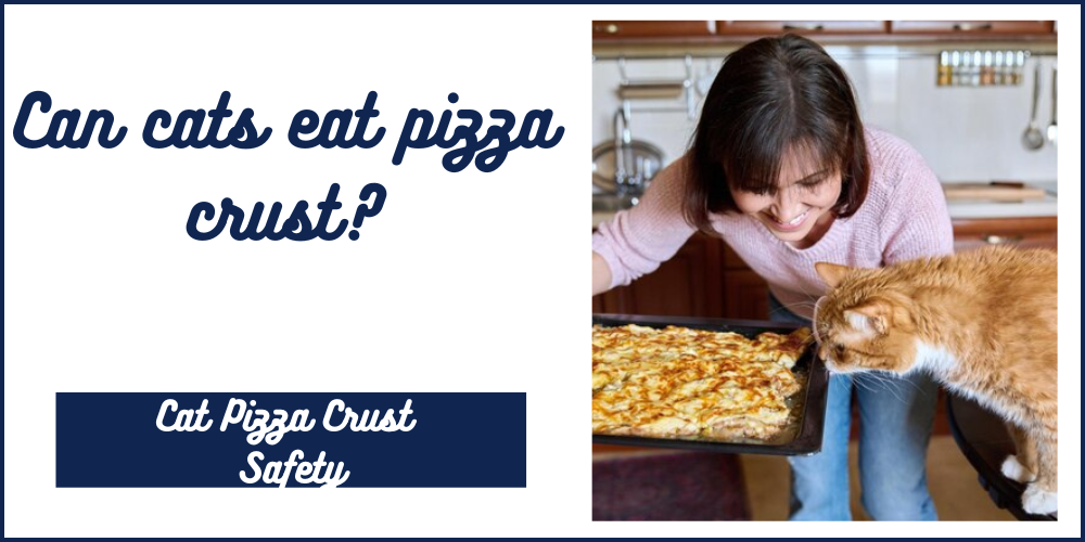 Can Cats Eat Pizza Crust?