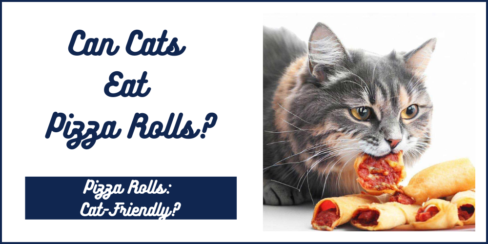 Can cats eat pizza rolls?